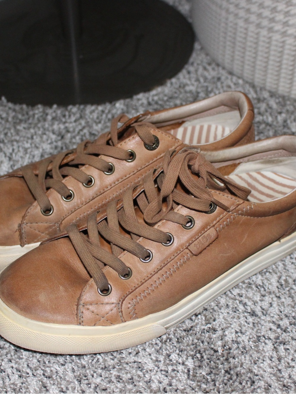 Taos Footwear Plim Soul Lux Sneaker